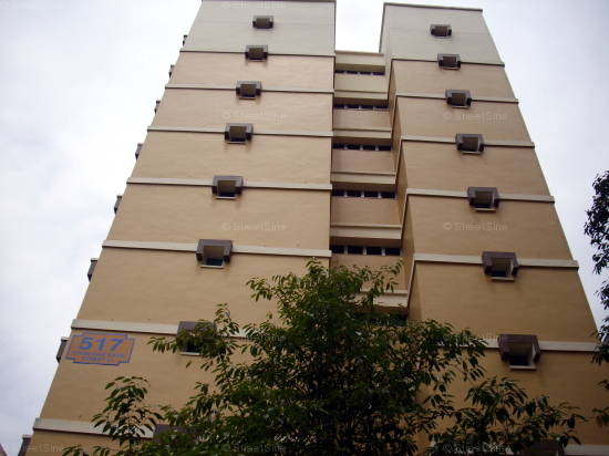 Blk 517 Choa Chu Kang Street 51 (Choa Chu Kang), HDB 5 Rooms #57942